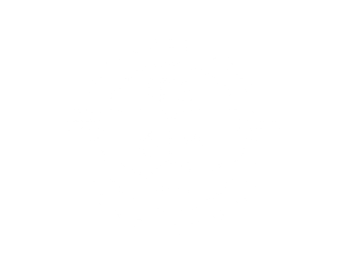 International Fight Summit logo